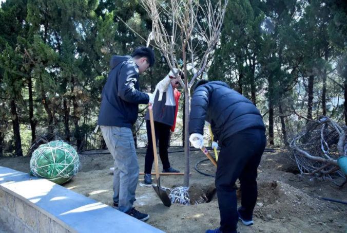 春風(fēng)十里，植下一片綠 | 瑞源控股集團(tuán)開(kāi)展2023年植樹(shù)節(jié)系列活動(dòng)